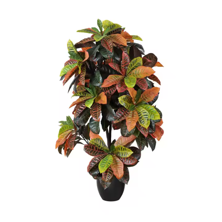 CROTON 140 CM NORTENE - 1