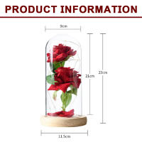 Regalo de flores conservadas, rosa iluminada en cúpula de cristal, regalos de flores de rosas eternas para siempre - details 2