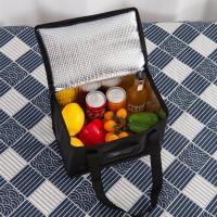 Bolsa Térmica Aislada Para Almuerzos Y Camping Grande Con Caja De Bebidas Y Alimentos Estuche De Almacenamiento Térmico Para Picnic - details 0