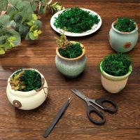 Plantas Artificiales De Hierba De Mostrador Para Decoración De Hogar Y Habitaciones Mini Landscape Falso Grama 20/40/100g Para DIY Crafts Y Jardín - details 6