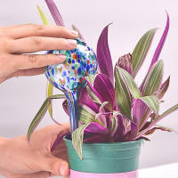 Dispositivo De Riego Automático Para Plantas En Maceta Juego De Vidrio Sfingón Herramienta De Jardín Para El Hogar - details 0