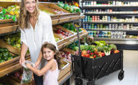 carrito de compras