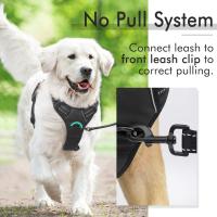 Arnés para Perros Sin Tirantes para Perros Grandes con 2 Clips para Correa, Reflectante Sin Asfixia, Negro, L - details 3