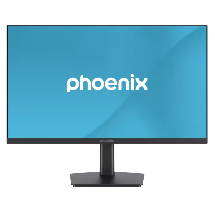 Phoenix Technologies Monitor Vision 23.8'' Full HD IPS HDMI + DP - 1