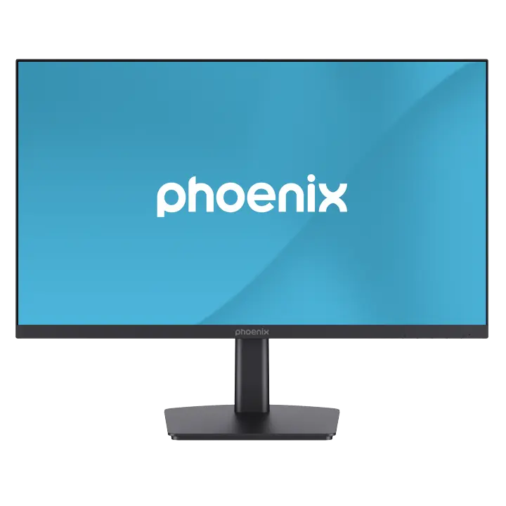 Phoenix Technologies Monitor Vision 23.8'' Full HD IPS HDMI + DP - 1