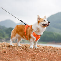 Harnés De Malla De Nylon Para Perros Medianos Y Grandes Transpirable Con Reflejos Correa De Pecho Para Perros Franceses Bulldog - details 13