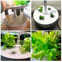 Kit De Iniciador De Plántulas 30/90Pcs Esponja Para Cultivo En Suelo Hidroponía Sistema De Jardín Interior Suplementario De Crecimiento - details 1