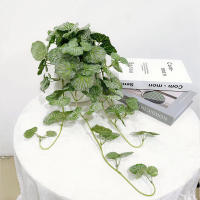 Planta Artificial De Pared Scindapsus 40-70cm Hojas De Hierba Falsa De Seda Para Decoración De Jardín Y Hogar Vines De Begonia Y Pino Fern - details 5