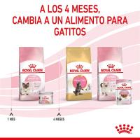12 x 195 g - Royal Canin Mother & Babycat Mousse   Alimento Completo para Gatos  Especial para gatas Madres y Sus Cachorros  para reforzar Las defensas del organismo - details 6