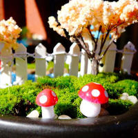 10Pcs Mini Set De Hongos Artificiales 2cm Para Jardín Fae Tiraditos De Moluscos Y Termitas Decoración De Terrario Y Artesanía - details 5
