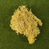 1Pc Moss Artificial De Colores Naturales Para Decoración De Joyería Jardín Y Epoxy Resina Decorativa Para Mesa - details 17