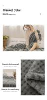 Manta De Terciopelo Coral Japonesa 300gsm Estilo Primavera Verano Suave Y Fluffy Falso Piel De Mocoso Cubierta De Sofá Sólida Manta De Cama En Cuadros - details 9