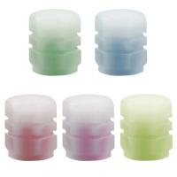 Luminous Valve Caps Para Coche Y Motocicleta ABS Fluorescentes Noches Decorativas Protección De Tornillos De Rueda Accesorios De Coche Universal - details 5