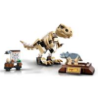 Kit De Bloques De Exhibición De Fósiles De Dinosaurio T. Rex Para Niños Modelo Esqueleto De Laboratorio De Museo Juguetes De Playa - details 1