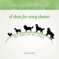 ANTOS Chicken D’light Sticks (400 gr) - Snack Natural para Perros 100% Pollo Sin Gluten, Sin Cereales y Bajo en Grasa (Todas las Edades) - details 2