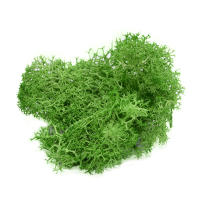 Plantas Artificiales Verdes 40g Vida Eterna Mostrador De Hierba Para Decoración De Hogar Sala De Estar Jardín Mini Paisaje Flores Falsas Para DIY Y Exposiciones - details 6