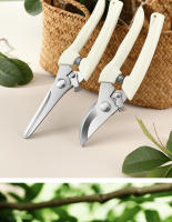 Tijeras De Podar Para Jardín Profesionales Herramientas Manuales Para Orquidear Bonsái Corte De Jardinería Tijeras De Podar - details 10