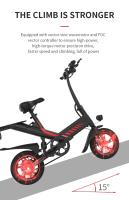 Bicicleta  Electricos Adultos Plegable Freestyle Y1S con neumático de 12 ", motor sin escobillas de 250W (pico de 350W), velocidad máxima de 25km/h, batería de litio de 36V 7.5Ah y alcance de 45km - details 4