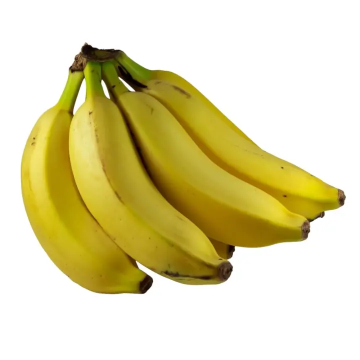 Plantas natural Musa, platanera canaria. Elegir rojo o amarillo. Producen frutos platano no muy grandes y de excelente sabor. - 1