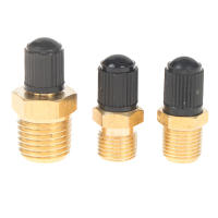 Válvula De Neumático Para Automóvil Y Motocicleta 1/4 NPT 1/8 NPT M10*1 Monitoreo De Presión De Neumáticos Material De Cobre Puro - details 5