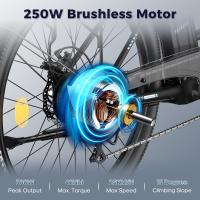 Bicicleta eléctrica de larga duración Fafrees F26, motor de 250 W, batería de 36 V 20,3 Ah, neumáticos de 26 x 1,95 pulgadas, velocidad máxima de 25 km/h, alcance de 140 km, SHIMANO de 7 velocidades, frenos de disco mecánicos, pantalla LCD de 2,3 pulgadas - details 3
