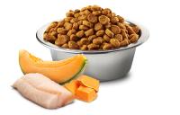 FARMINA N&D DOG OCEAN PUPPY BACALAO PUMPKIN MEDIUM MAXI 2,5KG / Alimento completo para cachorros y perras gestantes o lactantes - details 0