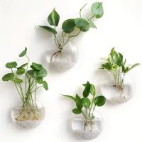 Vaso De Hierro Hidroponía Transparente Para Acuarios Pequeños En Pared Con Plantas Y Peces Juego De Decoración Para El Hogar - details 0