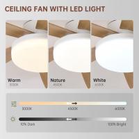 Lalumia LED Ventilador de Techo 42" con Luz LED Regulable – 3000K-6000K, Blanco/Madera Claro/Negro/Nogal Negro, 85-265V - details 1