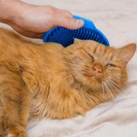 Cepillo de baño de silicona para perros y gatos, 2 unidades, cepillo de masaje, para cuidado, cepillado y limpieza - details 2