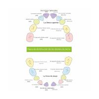 Caja De Dientes De Bebé De Madera Organizador De Almacenamiento Para Niños Y Niñas Recuerdo De Cumpleaños Regalo Para Niños Y Niñas - details 0