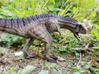 Juguete De Dinosaurio Carnotaurus Con Mandíbula Movable Regalo De Cumpleaños Para Niños Edad 4 Años Y up Figura De Animal Modelo Para Fiesta Familiar - details 5
