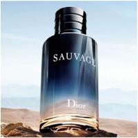 Sauvage - Eau De Toilette Spray - 100 ml - details 0