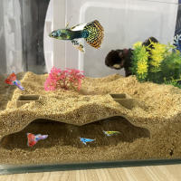 Cueva Subterránea Con Apariencia Natural Para Acuario Escondite Acuático Subyacente Túnel Decoración Para Peces Y Vida Acuática - details 3