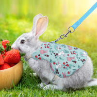 Conjunto De Ropa Para Mascotas Estilo Impresión Transpirable Para Conejos Y Perros Uso Al Aire Libre Correa Y Collar Personalizado - details 3