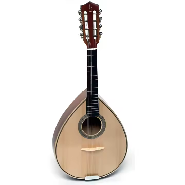 Mandolina Portuguesa APC MDL-305 - 1