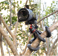 VIJIM Ulanzi MT-33 Trípode Flexible De Octopus Para Cámara De Teléfono DSLR Diseño 2 En 1 Con Soporte Para Teléfono Y Enchufe Frío Lado Con Tornillo 1/4 - details 11