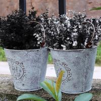 Vine De Eucalipto Artificial Negro Hojas De Eucalipto Decorativas Plásticas Para Decoración De Hogar Fiestas Jardín Propiedades Fotográficas - details 3