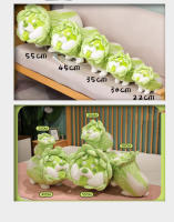 Juguete De Peluche Creativo En Forma De Brócoli Perro Suave Almohada Regalo Para Todas Las Edades Relleno De Algodón PP - details 7