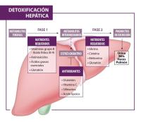 HEPA-T-DETOX BLISTER 30x10cp - details 0