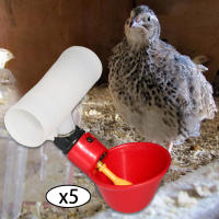5Pcs Copas De Bebida Para Pollos Plásticas Dispensador Automático De Alimentos Para Pato Ganso Héroe Y Pollo Herramientas De Cría De Ganado - details 3