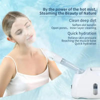 Humidificador De Térmica Con Brazo Extensible Para Facial Spa Humidificador De Vaho Caliente Para Piel Moisturizing Y Sinusitis Uso Doméstico O Salon - details 1