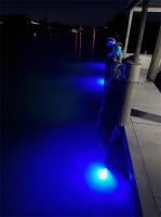 Luz Submersible LED 5M Para Pesca Lámpara De Bait Finder Profunda 50W 12-24V Atracción De Calamares IP68 Auto-Contenida Para Lago - details 6