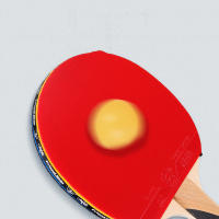 Bola De Ping Pong De Entrenamiento GS 729 Amistad 2.1MM Lazo De Goma Para Tenis De Mesa Originales En China Venta Por Pieza - details 11