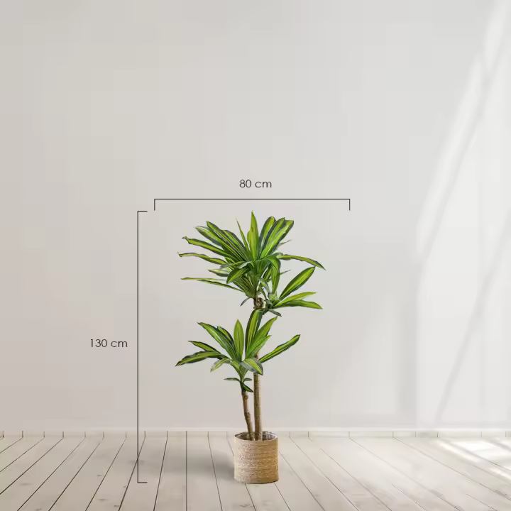 Planta artificial - Drácena  150 cm - 1