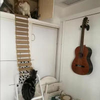 Ladder De Sisal Para Gatos Madera Y Cuerda De Aro Accesorio De Muebles Para Mascotas Subida Para Gatos Juguete De Aro Para Gatos - details 3