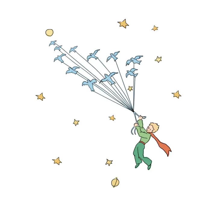 Estores Iroa - El Principito Estrellas | Translúcido | Personalizable - 1