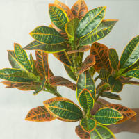 Arbol De Ficus Artificial Tropical Banyan Rama De Planta Falsa Codiaeum Hojas Verdes De Plástico Para Decoración De Jardín Y Hogar Tamaño 24-41cm - details 3