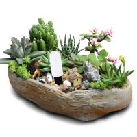 Testero De Humedad Del Suelo Inteligente 1-10PCS Medidor De Humedad Para Jardín Floristería Plantas Y Césped Herramienta De Jardinado Conveniente Monitor De Suelo VAKIND - details 7