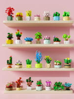 Juego De Bloques De Construcción DIY Para Niños Y Niñas 12PCS Set De Plantas Suculentas Juguete Educativo Para La Creación De Pequeños Bloques Regalo Para Niños Y Niñas - details 8