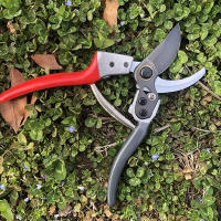 5Pcs Aretes De Podar Repuesto Para Aretes De Grafito Herramienta De Grafting Partes De Tijeras Resorte De Repuesto - details 8